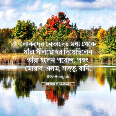 Picture 05 - নহিমিয়া 10:14 BENIRV - লোকদের নেতাদের - Bible Verse Picture