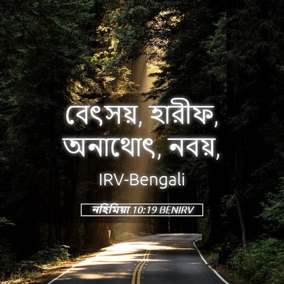 Picture 05 - নহিমিয়া 10:19 BENIRV - বেৎসয়, হারীফ, - Bible Verse Picture