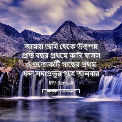 Picture 05 - নহিমিয়া 10:35 BENIRV - আমরা জমি থেকে - Bible Verse Picture