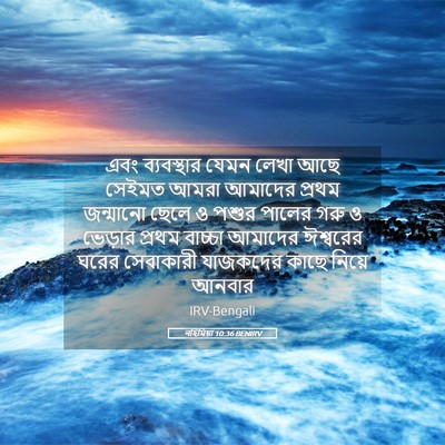 Picture 05 - নহিমিয়া 10:36 BENIRV - এবং ব্যবস্থার - Bible Verse Picture