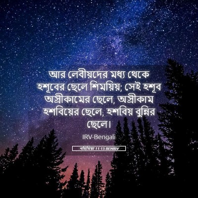 Picture 05 - নহিমিয়া 11:15 BENIRV - আর লেবীয়দের মধ্য - Bible Verse Picture