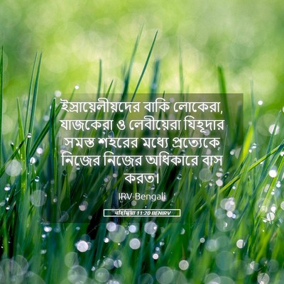 Picture 05 - নহিমিয়া 11:20 BENIRV - ইস্রায়েলীয়দের - Bible Verse Picture