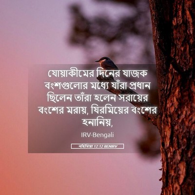 Picture 05 - নহিমিয়া 12:12 BENIRV - যোয়াকীমের দিনের - Bible Verse Picture