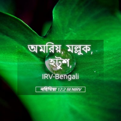 Picture 05 - নহিমিয়া 12:2 BENIRV - অমরিয়, মল্লুক, - Bible Verse Picture
