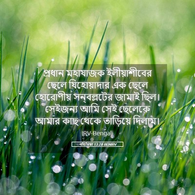Picture 05 - নহিমিয়া 13:28 BENIRV - প্রধান মহাযাজক - Bible Verse Picture