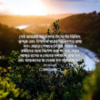 Picture 05 - নহিমিয়া 13:5 BENIRV - সেই কামরায় আগে - Bible Verse Picture