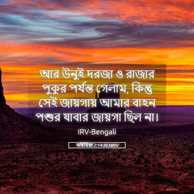 Picture 05 - নহিমিয়া 2:14 BENIRV - আর উনুই দরজা ও - Bible Verse Picture