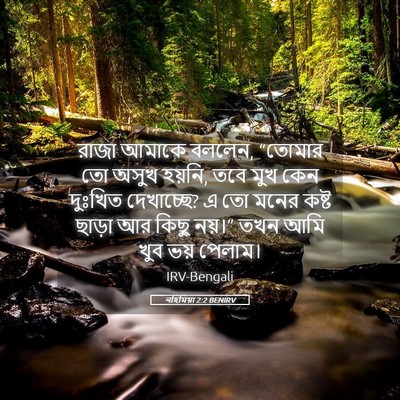 Picture 05 - নহিমিয়া 2:2 BENIRV - রাজা আমাকে বললেন, - Bible Verse Picture