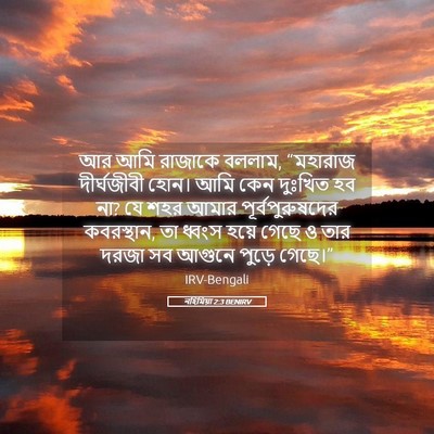 Picture 05 - নহিমিয়া 2:3 BENIRV - আর আমি রাজাকে - Bible Verse Picture