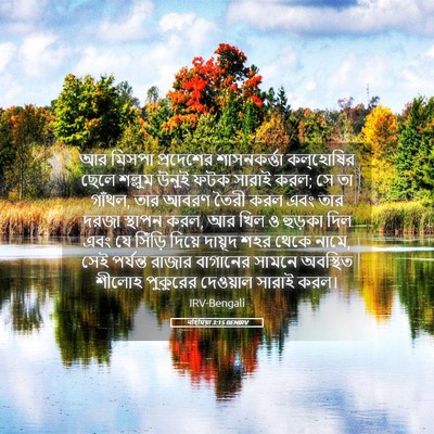 Picture 05 - নহিমিয়া 3:15 BENIRV - আর মিসপা প্রদেশের - Bible Verse Picture