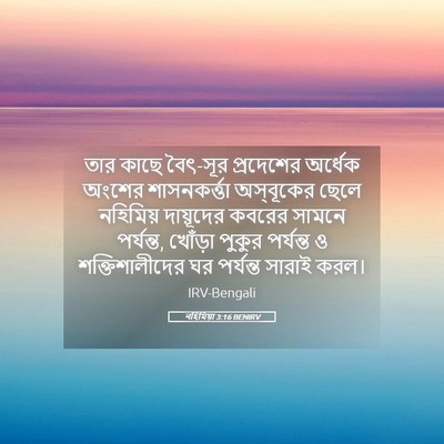 Picture 05 - নহিমিয়া 3:16 BENIRV - তার কাছে বৈৎ-সূর - Bible Verse Picture