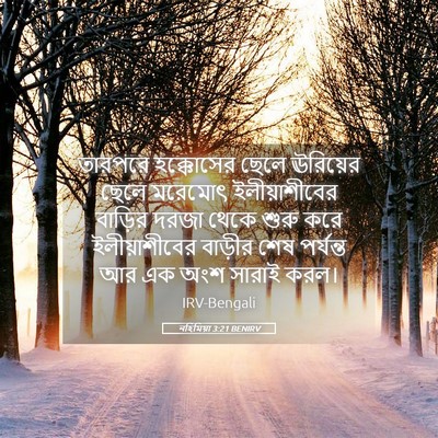 Picture 05 - নহিমিয়া 3:21 BENIRV - তারপরে হক্কোসের - Bible Verse Picture