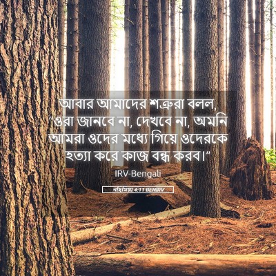 Picture 05 - নহিমিয়া 4:11 BENIRV - আবার আমাদের - Bible Verse Picture