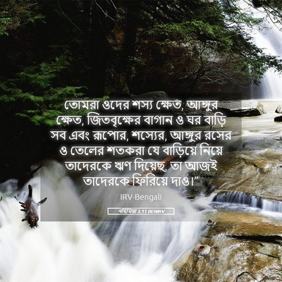 Picture 05 - নহিমিয়া 5:11 BENIRV - তোমরা ওদের শস্য - Bible Verse Picture