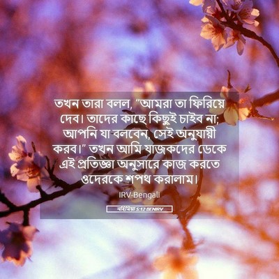 Picture 05 - নহিমিয়া 5:12 BENIRV - তখন তারা বলল, “আমরা - Bible Verse Picture