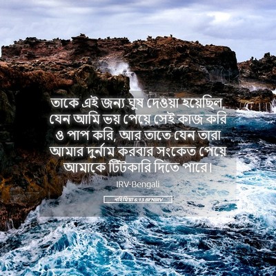 Picture 05 - নহিমিয়া 6:13 BENIRV - তাকে এই জন্য ঘুষ - Bible Verse Picture
