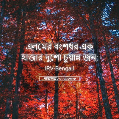 Picture 05 - নহিমিয়া 7:12 BENIRV - এলমের বংশধর এক - Bible Verse Picture
