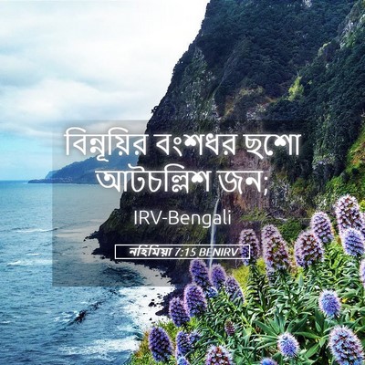 Picture 05 - নহিমিয়া 7:15 BENIRV - বিন্নূয়ির বংশধর - Bible Verse Picture