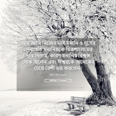 Picture 05 - নহিমিয়া 7:2 BENIRV - আর আমি নিজের ভাই - Bible Verse Picture