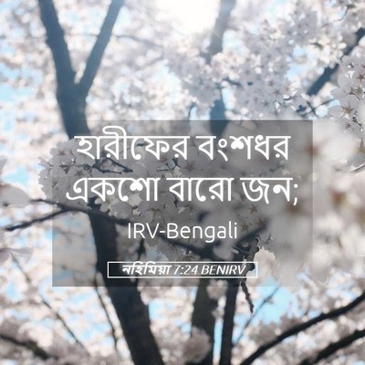 Picture 05 - নহিমিয়া 7:24 BENIRV - হারীফের বংশধর - Bible Verse Picture