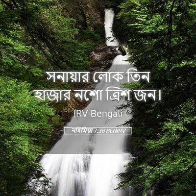 Picture 05 - নহিমিয়া 7:38 BENIRV - সনায়ার লোক তিন - Bible Verse Picture