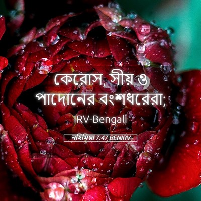 Picture 05 - নহিমিয়া 7:47 BENIRV - কেরোস, সীয় ও - Bible Verse Picture