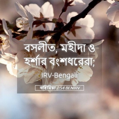 Picture 05 - নহিমিয়া 7:54 BENIRV - বসলীত, মহীদা ও - Bible Verse Picture