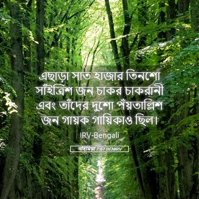 Picture 05 - নহিমিয়া 7:67 BENIRV - এছাড়া সাত হাজার - Bible Verse Picture