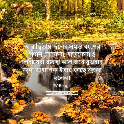 Picture 05 - নহিমিয়া 8:13 BENIRV - আর দ্বিতীয় দিনের - Bible Verse Picture