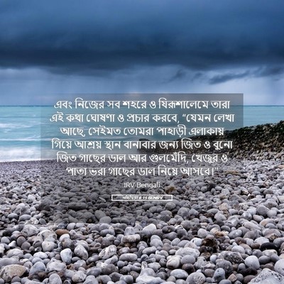 Picture 05 - নহিমিয়া 8:15 BENIRV - এবং নিজের সব শহরে ও - Bible Verse Picture