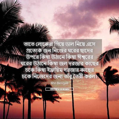Picture 05 - নহিমিয়া 8:16 BENIRV - তাতে লোকেরা গিয়ে - Bible Verse Picture