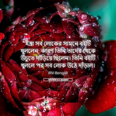 Picture 05 - নহিমিয়া 8:5 BENIRV - ইষ্রা সব লোকের - Bible Verse Picture