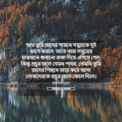 Picture 05 - নহিমিয়া 9:11 BENIRV - আর তুমি তাদের - Bible Verse Picture