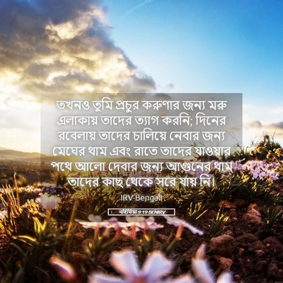 Picture 05 - নহিমিয়া 9:19 BENIRV - তখনও তুমি প্রচুর - Bible Verse Picture