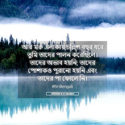 Picture 05 - নহিমিয়া 9:21 BENIRV - আর মরু এলাকায় - Bible Verse Picture