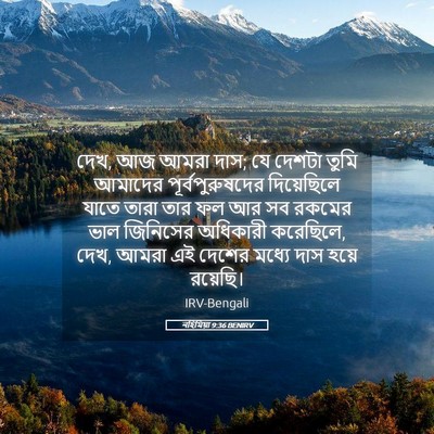 Picture 05 - নহিমিয়া 9:36 BENIRV - দেখ, আজ আমরা দাস; যে - Bible Verse Picture