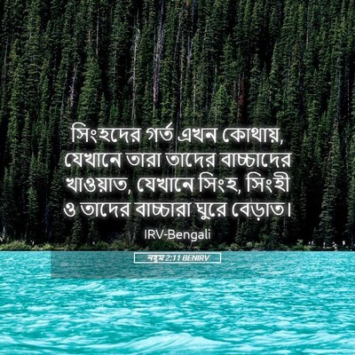 Picture 05 - নহূম 2:11 BENIRV - সিংহদের গর্ত এখন - Bible Verse Picture