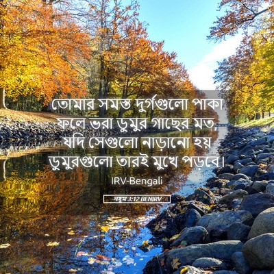Picture 05 - নহূম 3:12 BENIRV - তোমার সমস্ত - Bible Verse Picture