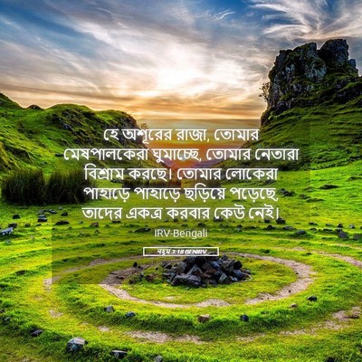 Picture 05 - নহূম 3:18 BENIRV - হে অশূরের রাজা, - Bible Verse Picture