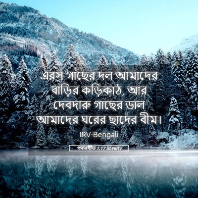 Picture 05 - পৰমগীত 1:17 BENIRV - এরস গাছের দল - Bible Verse Picture