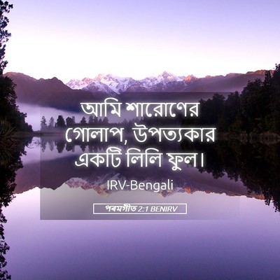 Picture 05 - পৰমগীত 2:1 BENIRV - আমি শারোণের গোলাপ, - Bible Verse Picture