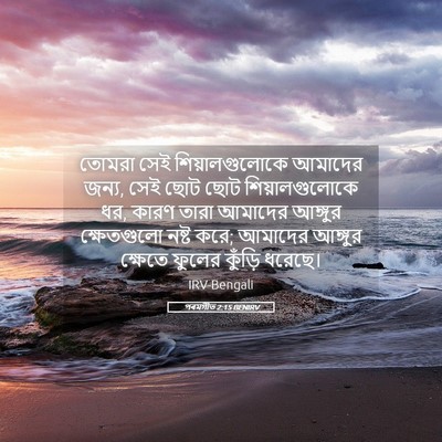 Picture 05 - পৰমগীত 2:15 BENIRV - তোমরা সেই - Bible Verse Picture