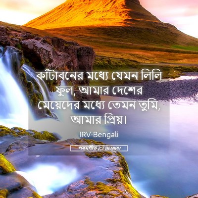 Picture 05 - পৰমগীত 2:2 BENIRV - কাঁটাবনের মধ্যে - Bible Verse Picture