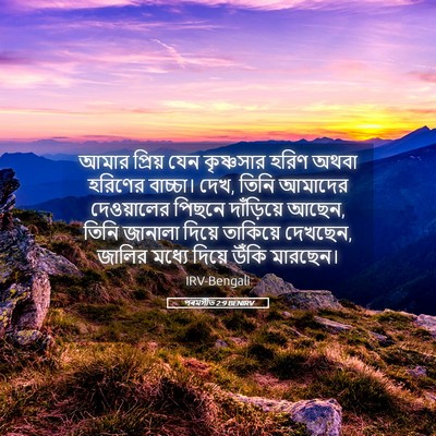 Picture 05 - পৰমগীত 2:9 BENIRV - আমার প্রিয় যেন - Bible Verse Picture