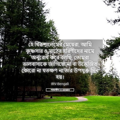 Picture 05 - পৰমগীত 3:5 BENIRV - হে যিরূশালেমের - Bible Verse Picture