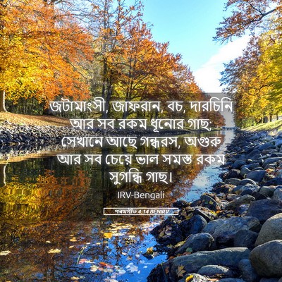 Picture 05 - পৰমগীত 4:14 BENIRV - জটামাংসী, জাফরান, - Bible Verse Picture
