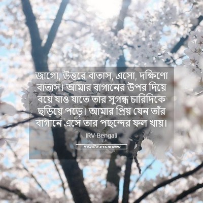 Picture 05 - পৰমগীত 4:16 BENIRV - জাগো, উত্তরে বাতাস, - Bible Verse Picture