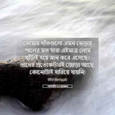 Picture 05 - পৰমগীত 4:2 BENIRV - তোমার দাঁতগুলো - Bible Verse Picture