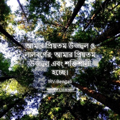 Picture 05 - পৰমগীত 5:10 BENIRV - আমার প্রিয়তম - Bible Verse Picture