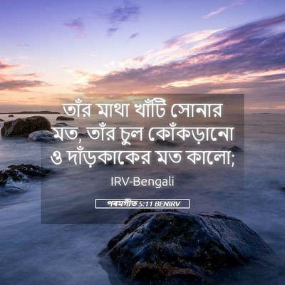 Picture 05 - পৰমগীত 5:11 BENIRV - তাঁর মাথা খাঁটি - Bible Verse Picture